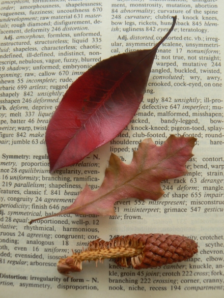 Autumn Photo Leaves Symmetry Vintage Book Page