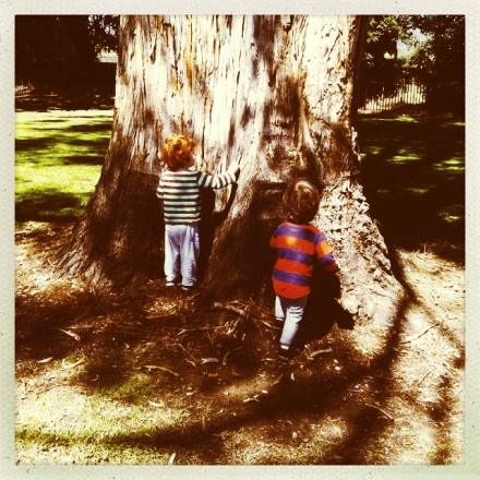 New Norfolk Tree Children Hipstamatic