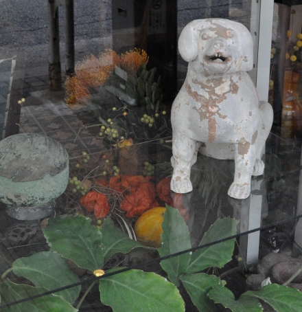 Kyoto Art Design Scene Dog Sculpture Clay Florist Shop Flowers Plants